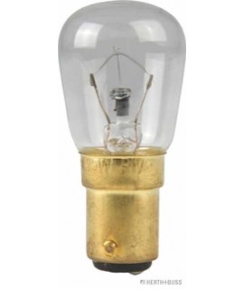 Glühlampe VPE 1