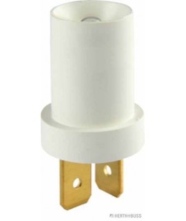 Glühlampe VPE 10