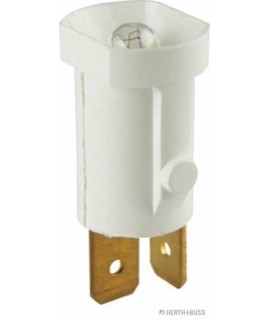 Glühlampe VPE 1