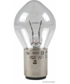 Glühlampe VPE 1