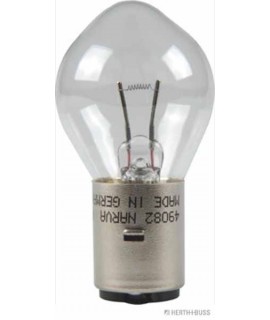 Glühlampe VPE 1