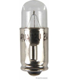 Glühlampe VPE 10