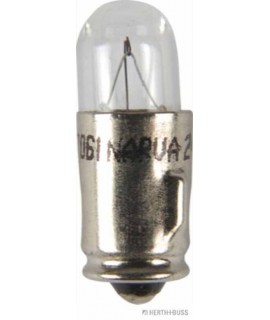 Glühlampe VPE 10