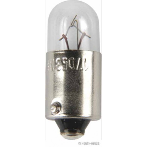 Glühlampe VPE 10