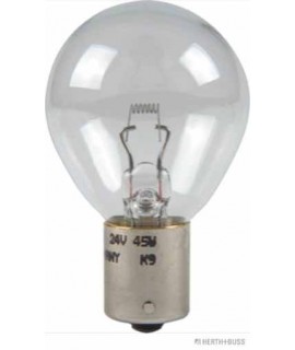 Glühlampe VPE 1