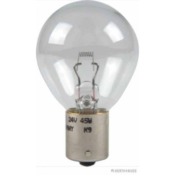 Glühlampe VPE 1