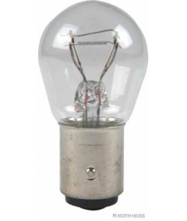 Glühlampe VPE 10