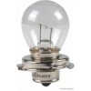 Glühlampe VPE 10