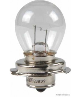Glühlampe VPE 10