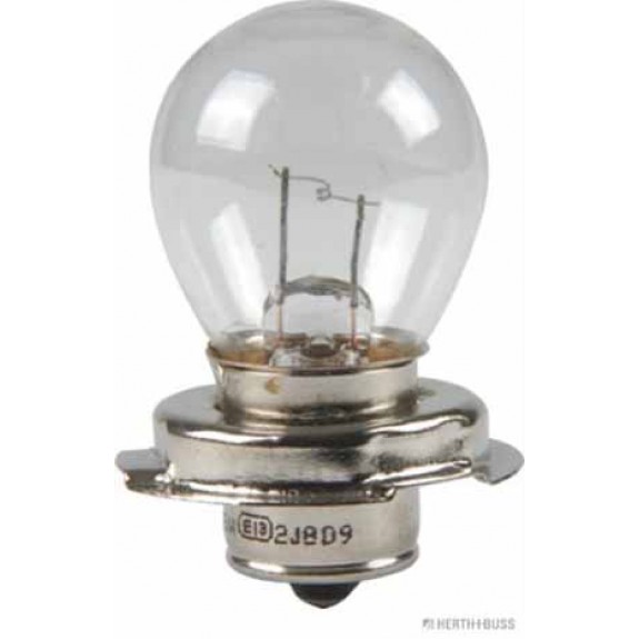 Glühlampe VPE 10