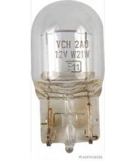 Glassockellampe VPE 10