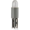 Glühlampe VPE 10
