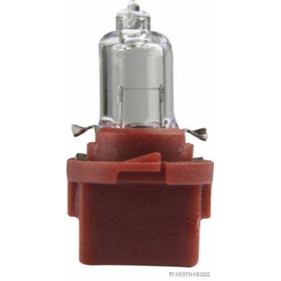 Glühlampe VPE 10