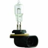 Glühlampe