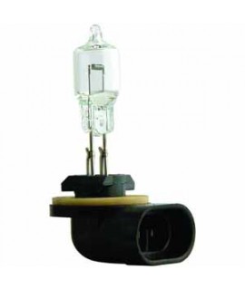 Glühlampe