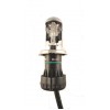 H1 Xenon KIT Ersatzlampe "Nur Export"