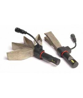 H11 LED KIT "nur Export"